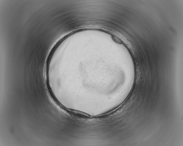 X0000110951084200907171623
