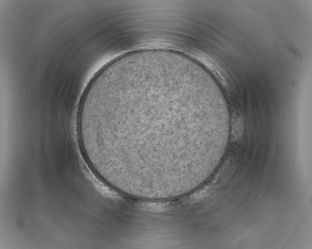 X0000110951086200907171623