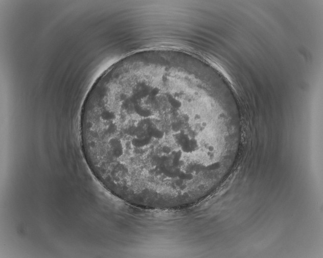 X0000110951087200907171623