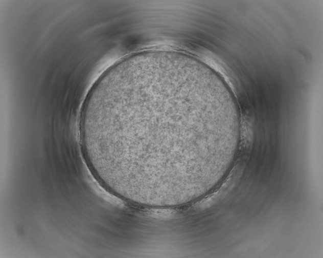 X0000110951090200907171623