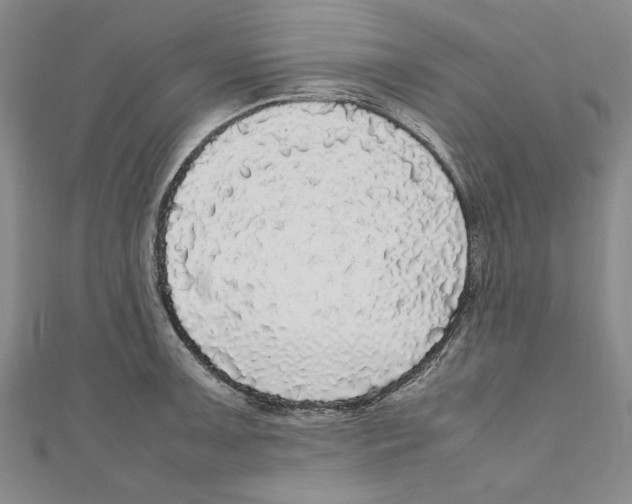 X0000110951091200907171623