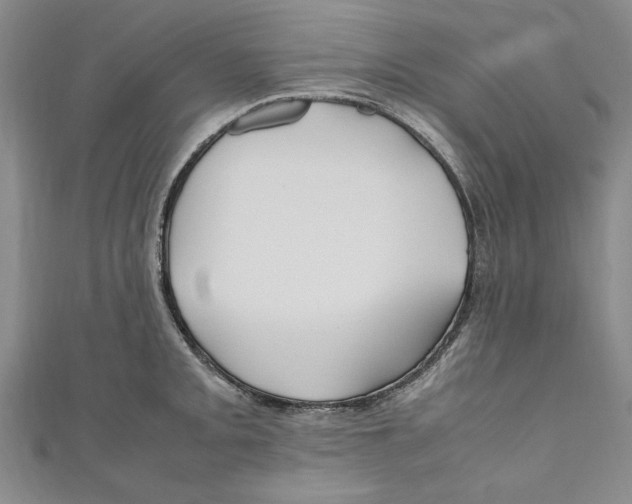 X0000110951093200907171623