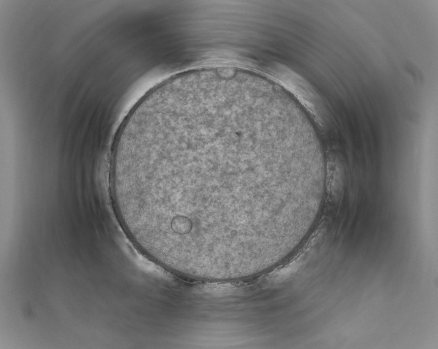X0000110951094200907171623