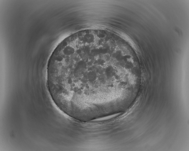 X0000110951095200907171623