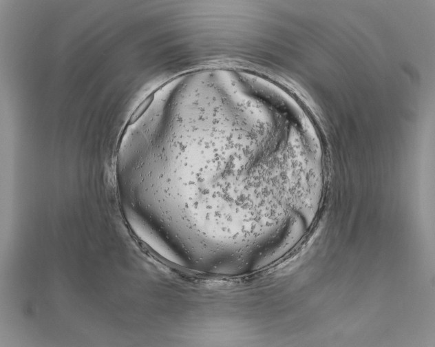 X0000110951097200907171623