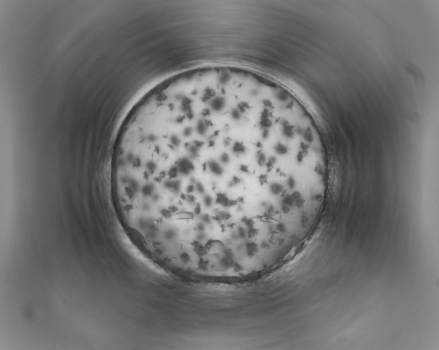 X0000110951100200907171623