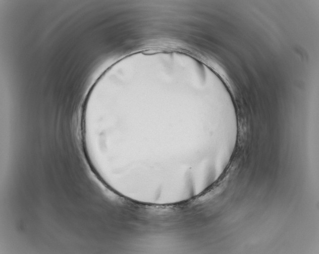 X0000110951103200907171623
