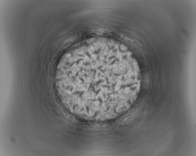 X0000110951105200907171622