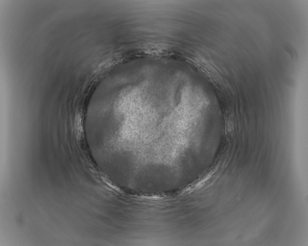 X0000110951106200907171622