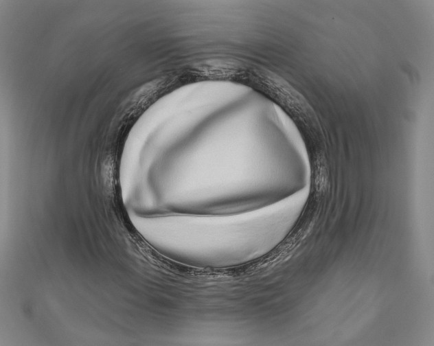 X0000110951108200907171622