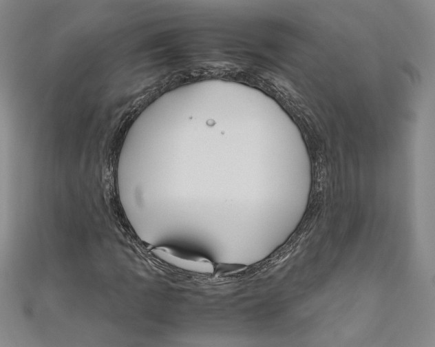 X0000110951109200907171622