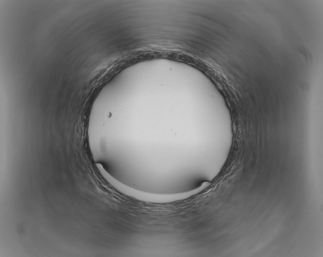 X0000110951110200907171622