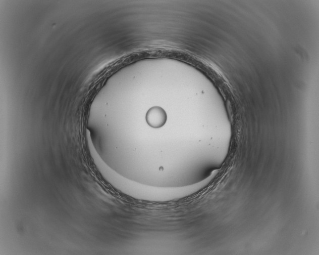 X0000110951112200907171622