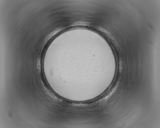 X0000110951113200907171622