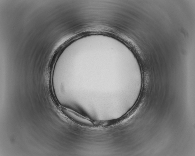 X0000110951114200907171622