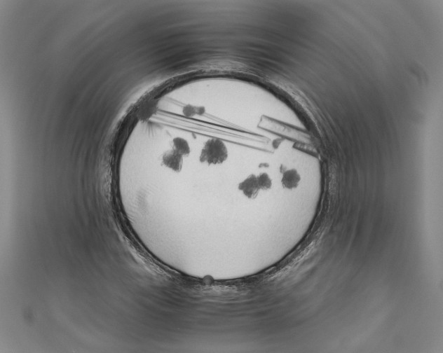 X0000110951115200907171622