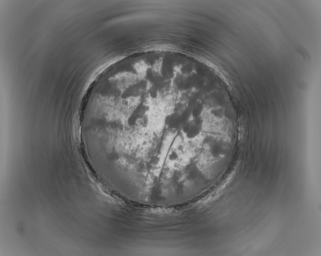 X0000110951117200907171622