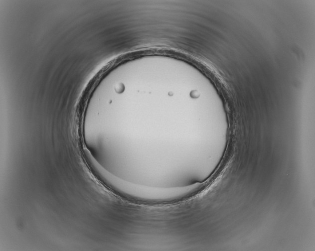 X0000110951118200907171623