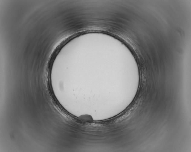 X0000110951119200907171623