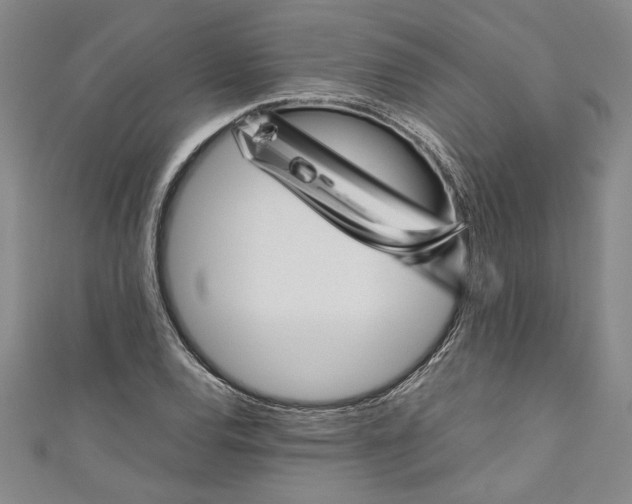 X0000110951120200907171623