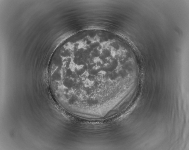 X0000110951121200907171623