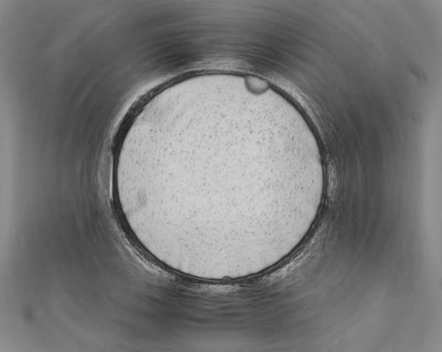 X0000110951123200907171623
