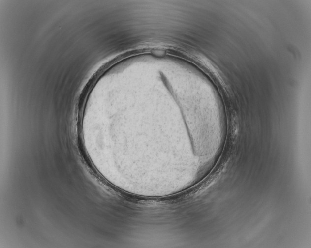 X0000110951124200907171623