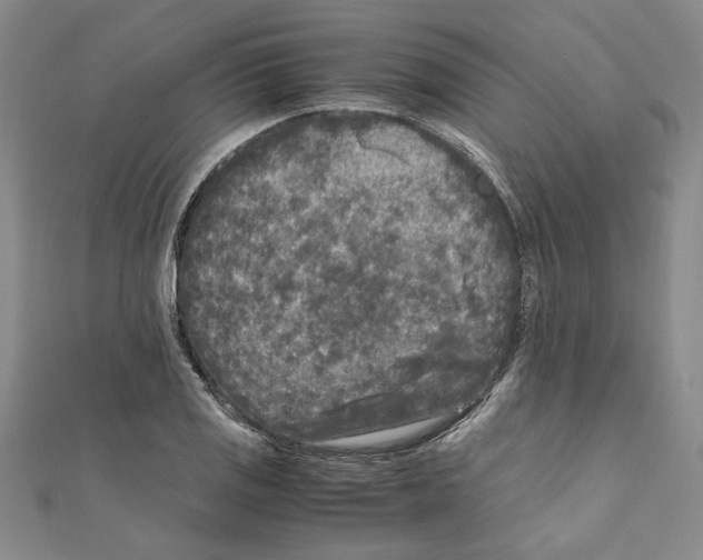 X0000110951125200907171623