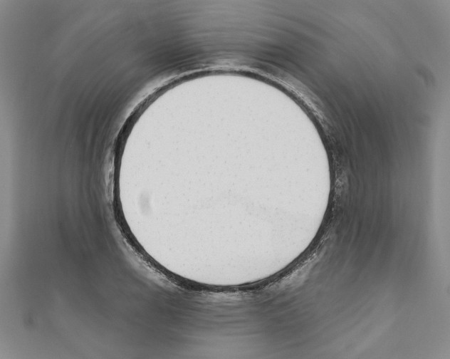X0000110951126200907171623