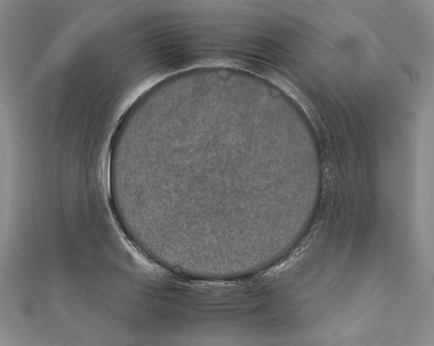 X0000110951127200907171623