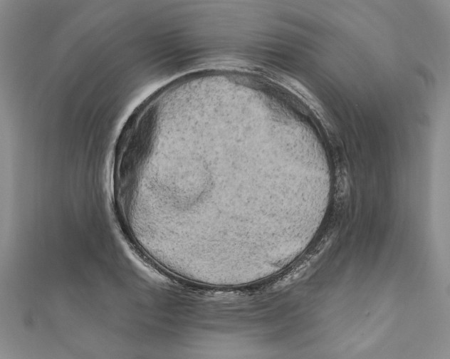 X0000110951128200907171623