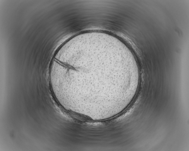 X0000110951129200907171623