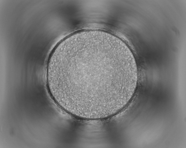 X0000110951130200907171623