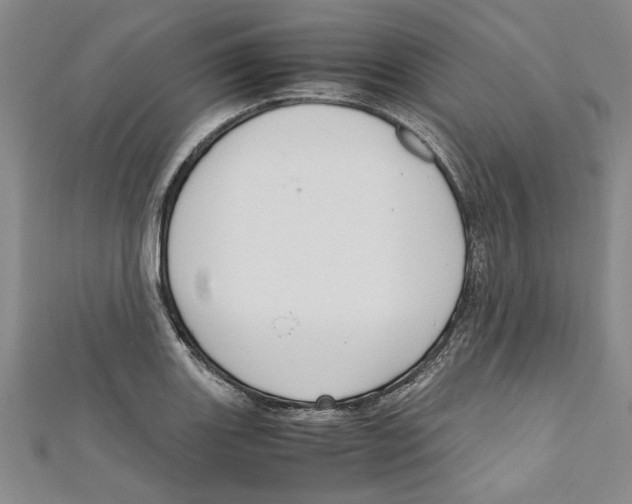 X0000110951131200907171623