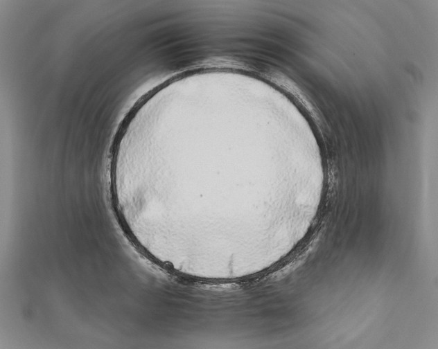 X0000110951133200907171623