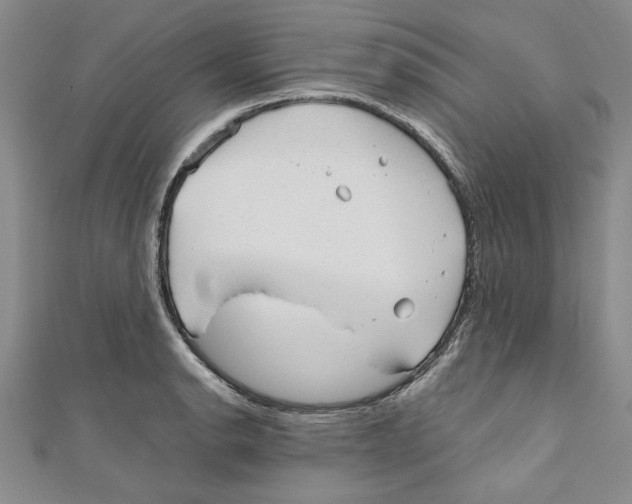 X0000110951134200907171623