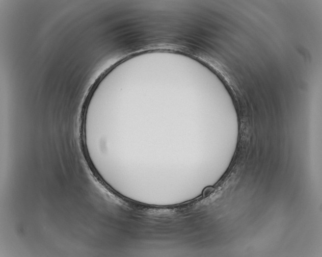 X0000110951135200907171623