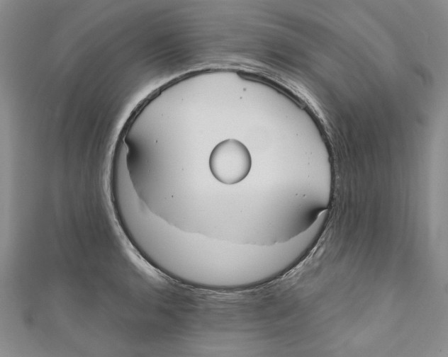 X0000110951136200907171623