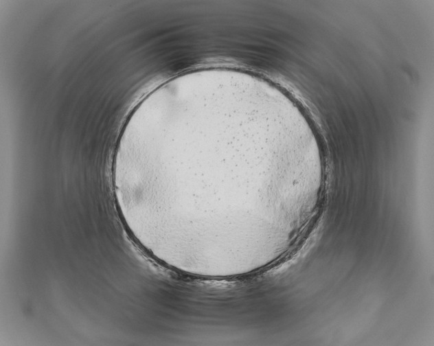 X0000110951137200907171623