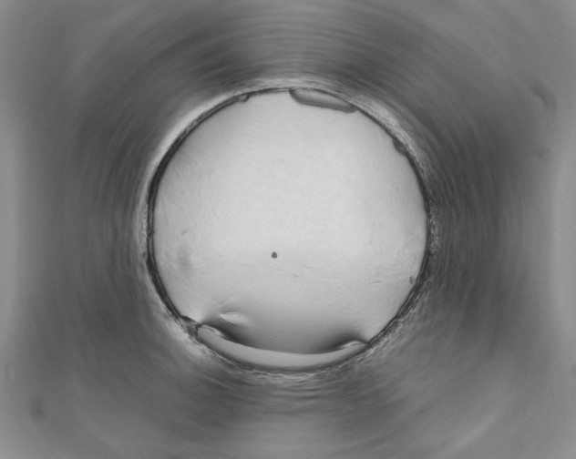 X0000110951140200907171623
