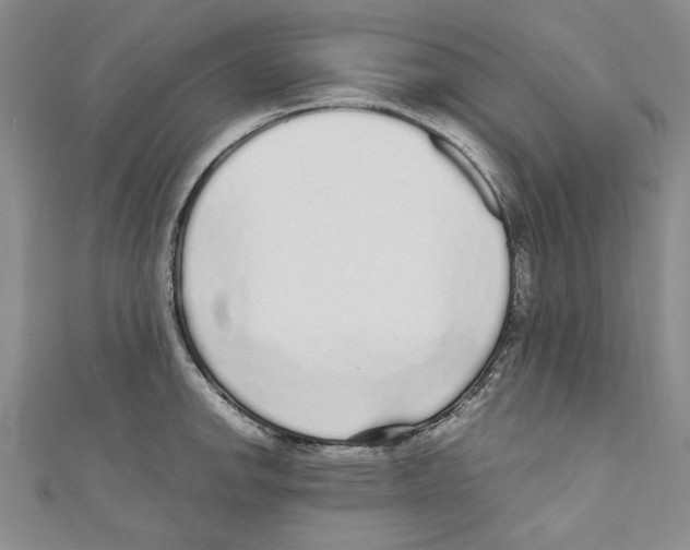 X0000110951142200907171623