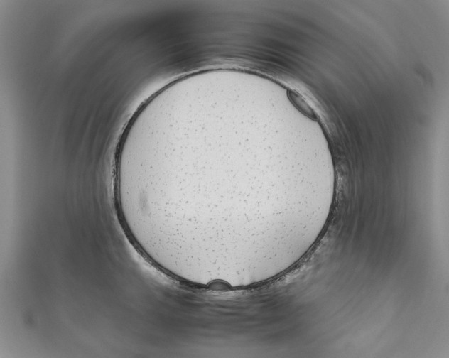 X0000110951143200907171623