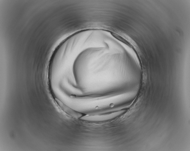 X0000110951144200907171623