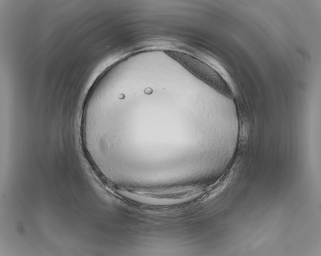 X0000110951146200907171623