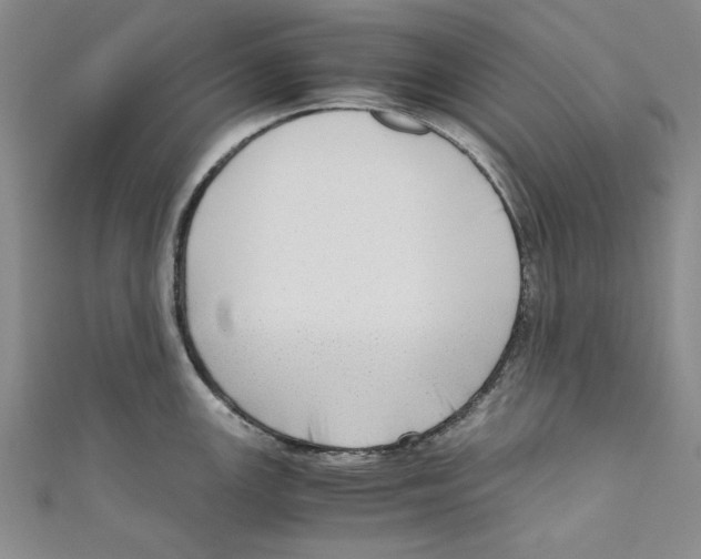X0000110951147200907171623