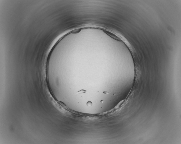X0000110951148200907171623
