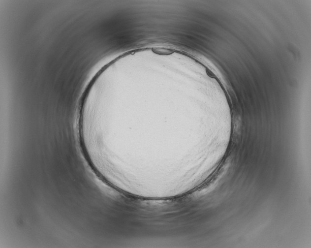 X0000110951149200907171623