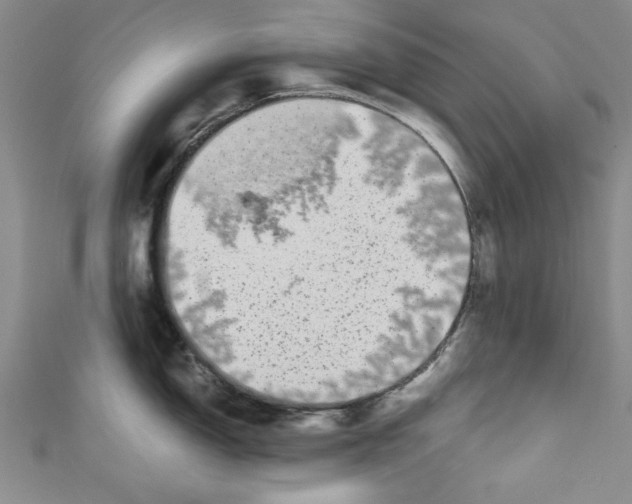 X0000110951150200907171623