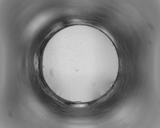 X0000110951151200907171623
