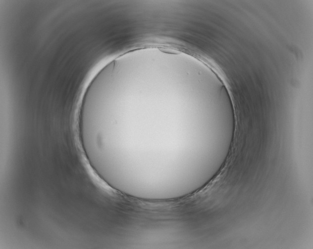 X0000110951152200907171623